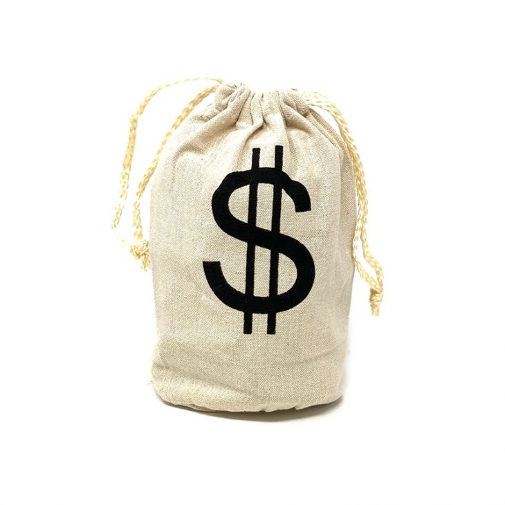 Fabric Money Bag 8.5" x 6.5" with drawstring cord main image